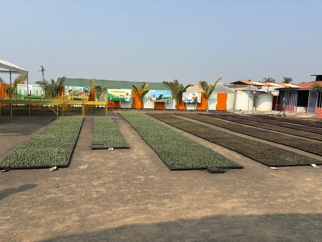 Nursery Crops