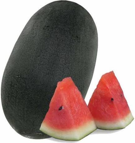 Watermelon – Simbha