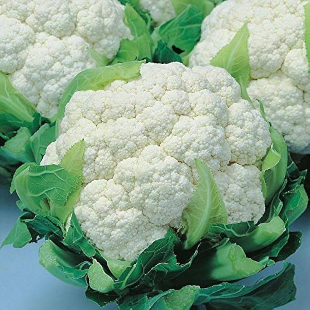 Cauliflower – 6099