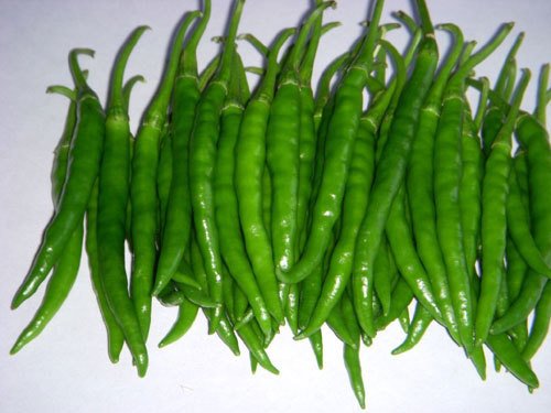 Chili – Sitara Gold