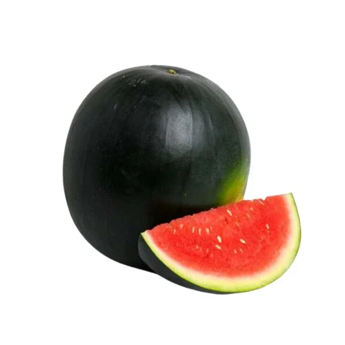 Watermelon – Bhujang