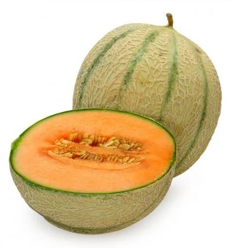 Muskmelon – Vijay
